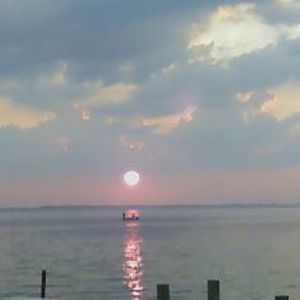 Meet your Posher, Trish